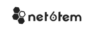 Net6tem